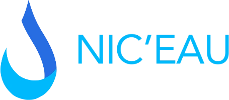 Niceau